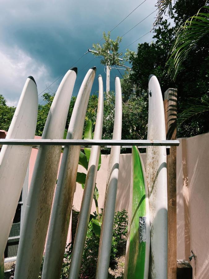 Hostel Dolphins Backpackers Sunshine Beach Exteriér fotografie